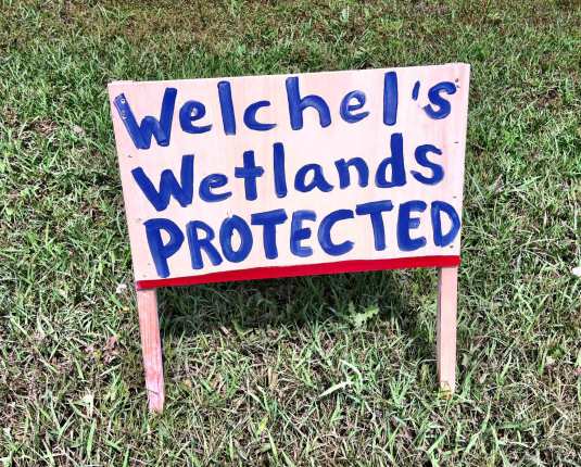 Day 23: Funny I used to have a sign that read Lake Welchel, Posted. This is my new one, because of every manner of water creatures who take up inhabitance when we get a small lake in our front yard.
